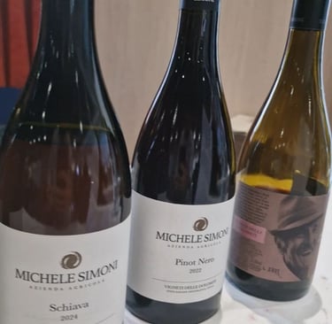 Vino Trentino Michele Simoni per carta vini