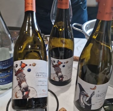 Vino Francese Valle della Loira selezione per ristoranti enoteche