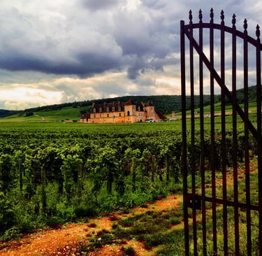 Vinhedo na região da Borgonha, França, com um Château ao fundo