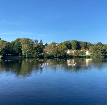 a lake with swans and swans in the foreground
