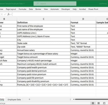 data field summary for total compensation mail merge project with mock employee sample data shown