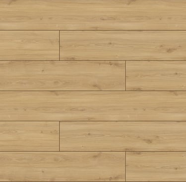 VARIO CLIC variodor terra clic