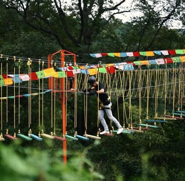 Rajasthan Adventure Park and Zipline Manufacture SAM Zip Line