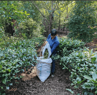 a woman in a blue jacket is picking up a bag of ba jiao