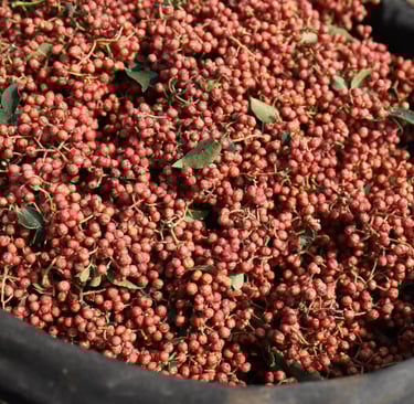 A black container filled with harvested red peppercorns and green leaves for spice production.