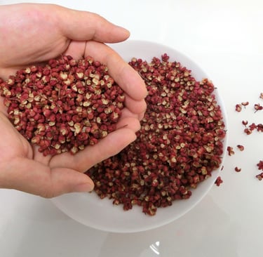 Sichuan Peppercorns in hand
