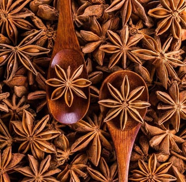 Dried whole star anise pods on wooden spoons, showcasing star-shaped culinary spices.