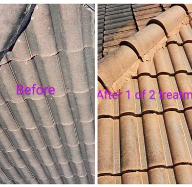 neglected roof before and after