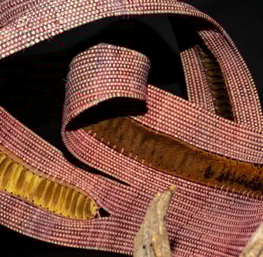 "Betrothed" named for the 19th century novel