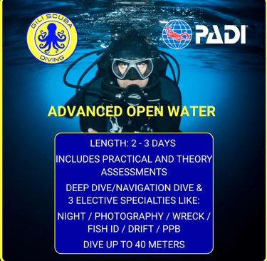 PADI Advanced Open Water certification in Gili Trawangan: choose from Deep, Navigation, Night, Photography, Wreck, Fish ID.