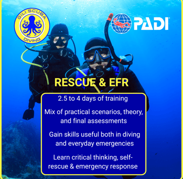 PADI Rescue Diver and EFR course at Gili Scuba Diving: 2.5 to 4 days of training, including theory, pool, and open water