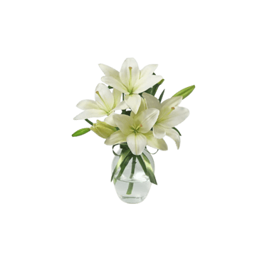 Guia da Simbologia das Flores: Significados Para Sua Homenagem Floral em São Paulo com a Consolare