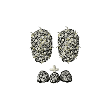 Guia Essencial: Etiqueta e Protocolo ao Enviar Coroa de Flores Para Velórios em São Paulo com a Cons