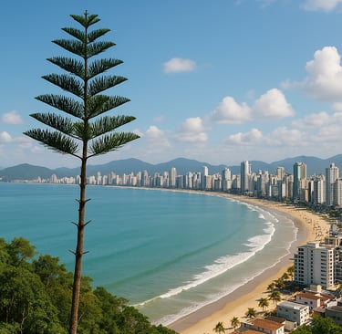 Usucapião em Itapema, SC Como Regularizar Imóveis Herdados e Evitar Conflitos entre Herdeiros