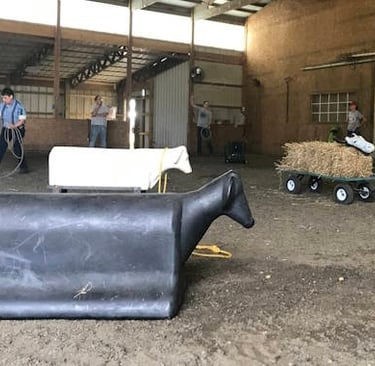 two calf roping mannequins in a barn 