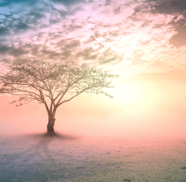 Deep-rooted Ancestral Wounds