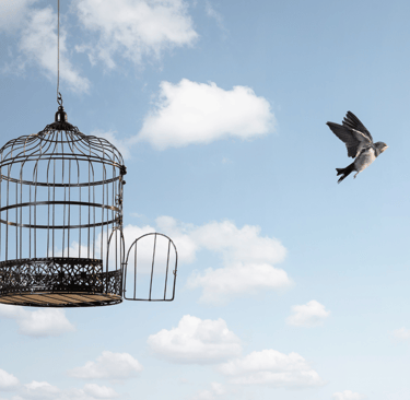 Freedom from Suffering