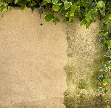 Nettoyage muret, algue lychen pollution, nettoyage haute pression, écologique, avant après