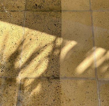 Zoom sur nettoyage de terrasse, carrelage avant et après, nettoyage haute pression, écologique