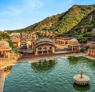 monkey temple in Jaipur