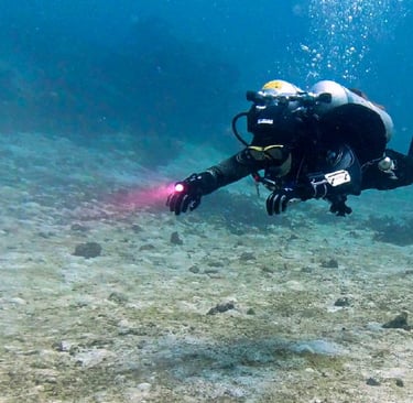 Diving with Deep 6 Eddy Fin