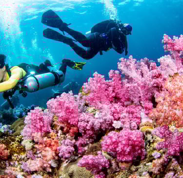 Diving in Tusa Vesna