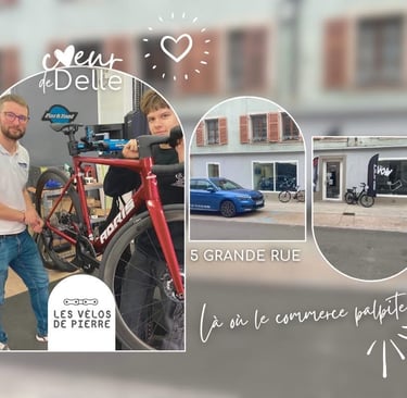 vente repartion entretient conseil vélos vae vttae delle belfort hericourt franche comté boncourt