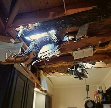 Hail & wind storm fell over into a customer's house and we removed the tree and restored their home.