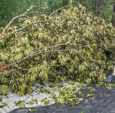 Storm knocked over tree on customer's roof in Tyler, TX, requiring full removal & patio replacement