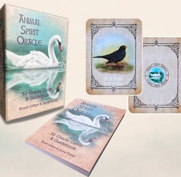 Animal Spirit Oracle Classic deck box with cards and guidebook displayed