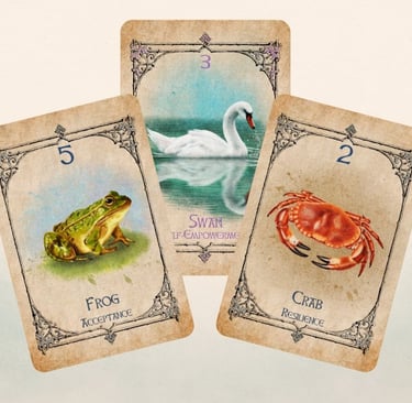 Animal Spirit Oracle Classic water suit cards displayed together