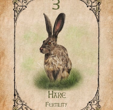 Hare spirit animal card from the animal spirit oracle classic deck
