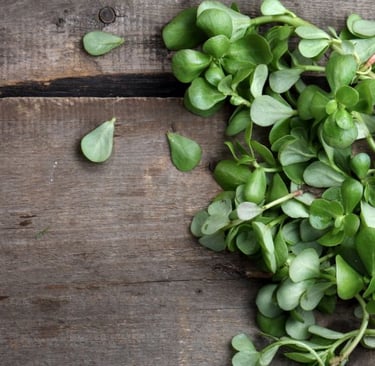 fresh purslane on a cutting board