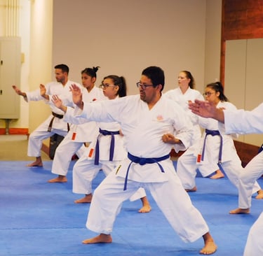 Karate training.