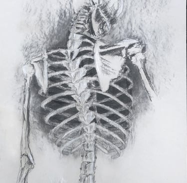 a skeleton drawing fading away