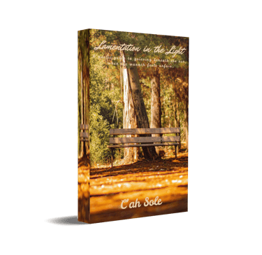 Lamentation in the Light ebook cover by C'ah Sole with shaded wooden bench in forest