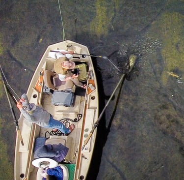 fly fishing guide trip on the South Holston