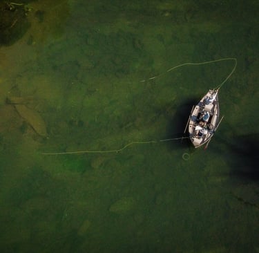 Fly fishing the South Holston River.