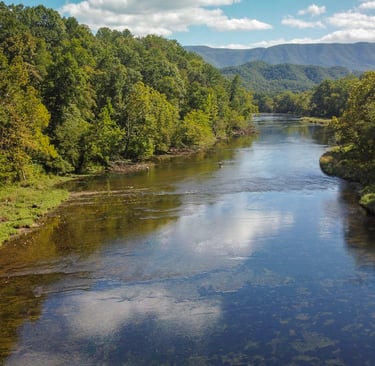 Fly Fishing the South Holston River Tennessee