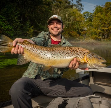 Huge South Holston River brown trout