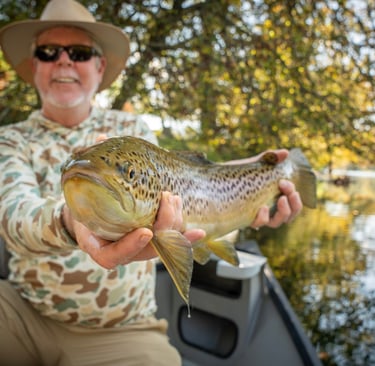 Fly Fish Tennessee 