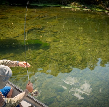 Best flies for Watauga River