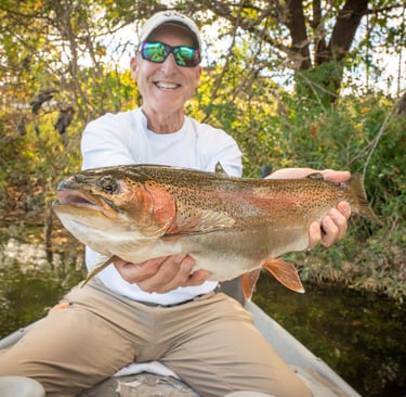 Big Rainbow Trout in Tennessee 