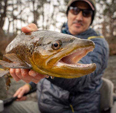 January Fly Fishing on Watauga