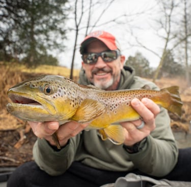 South Holston River Brown Trout: March 2026