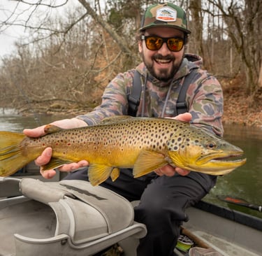 Big Brown Trout Streamer Fishing South Holston River