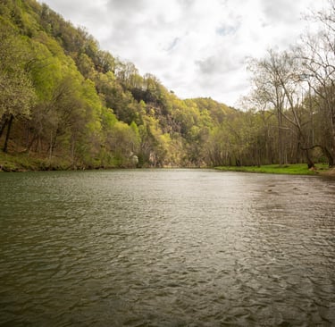 Mid April East Tennessee Fishing Report