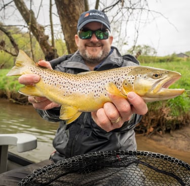 Fly Fish the Watauga River Caddis Hatch