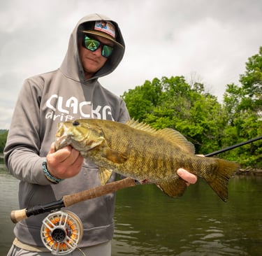 May Fly Fishing for Smallmouth bass