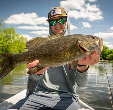 Big South Holston River Smallie